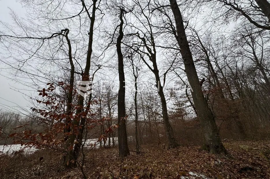 levanjska varoš, šume i zemljišta, ukupno cca 60 ha - slika 8