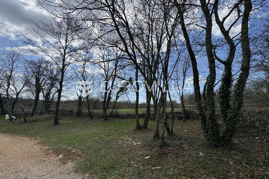 istra, kringa, prostrano imanje 4ha za konjički turizam s kućom za odmor s bazenom - slika 11