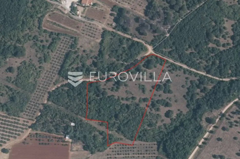 istra, labinci, prostrano poljoprivredno zemljište 16595 m2 uz prometnicu - slika 2