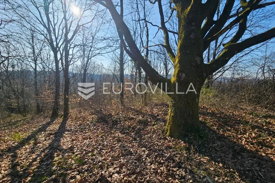velika gorica, zemljište 6.802 m², babićev brijeg i katin grob | mir, priroda i potencijal za opg - slika 2
