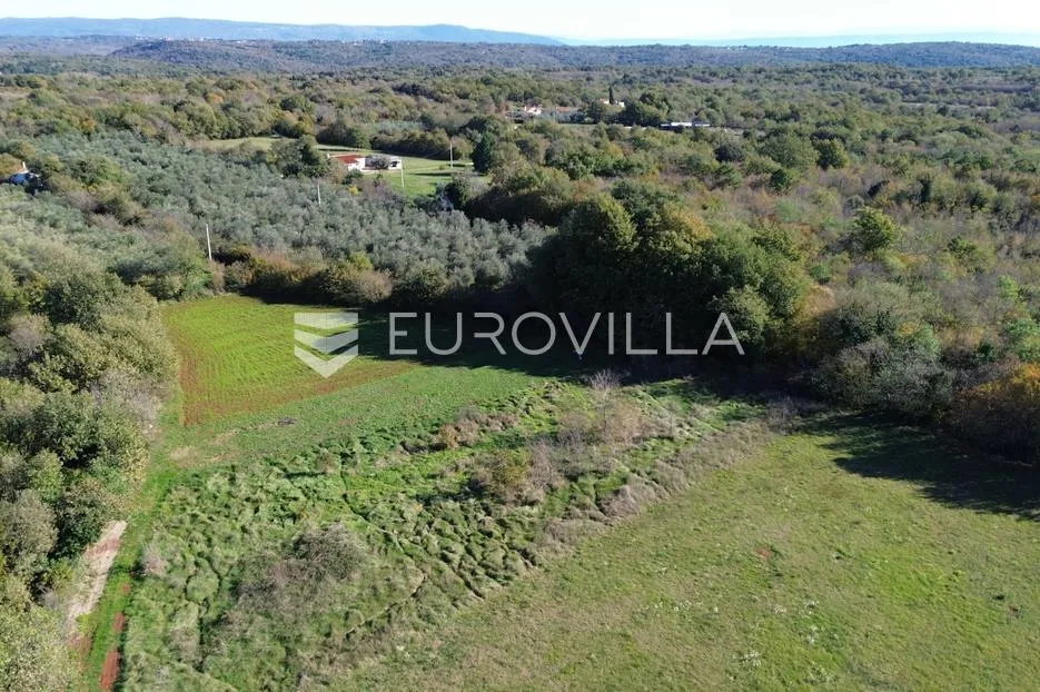 istra, marčana, poljoprivredno zemljište blizu centra marčane - slika 2