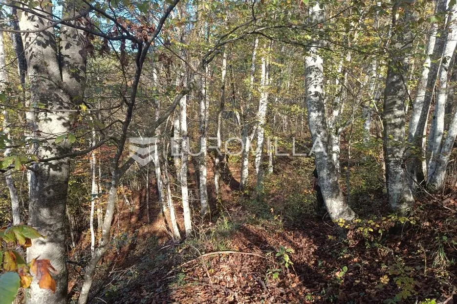 slunj, cvijanović brdo, zemljište 378428 m² s 2 objekta, višenamjensko - slika 7