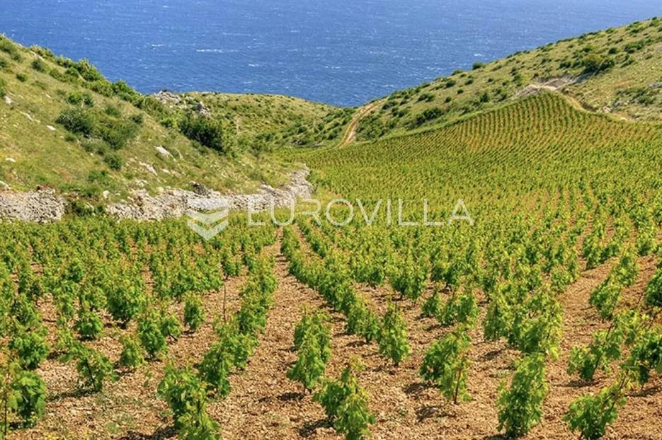hvar, sv. nedjelja, građevinsko zemljište 30 m do mora - slika 4