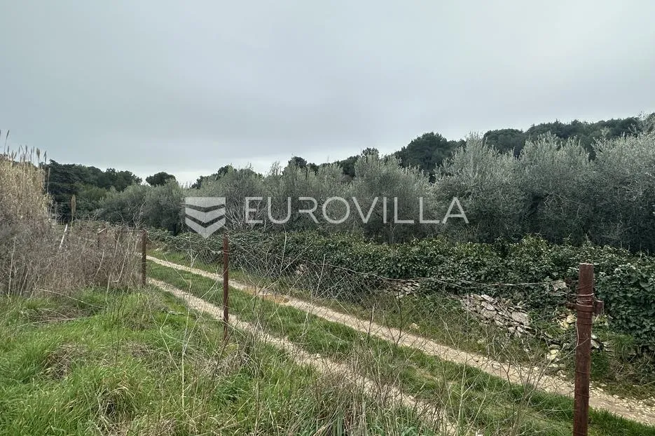 istra, premantura, građevinsko zemljište t2 zona 3020 m2 - 400 m od mora - slika 10