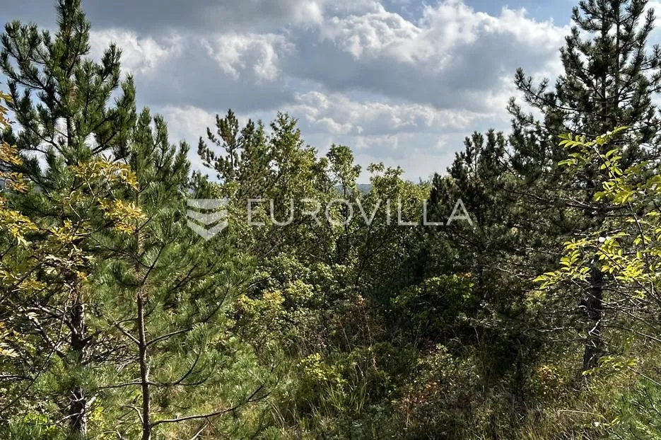 istra, cerovlje - poljoprivredno zemljište pogodno za maslinik ili vinograd - slika 7