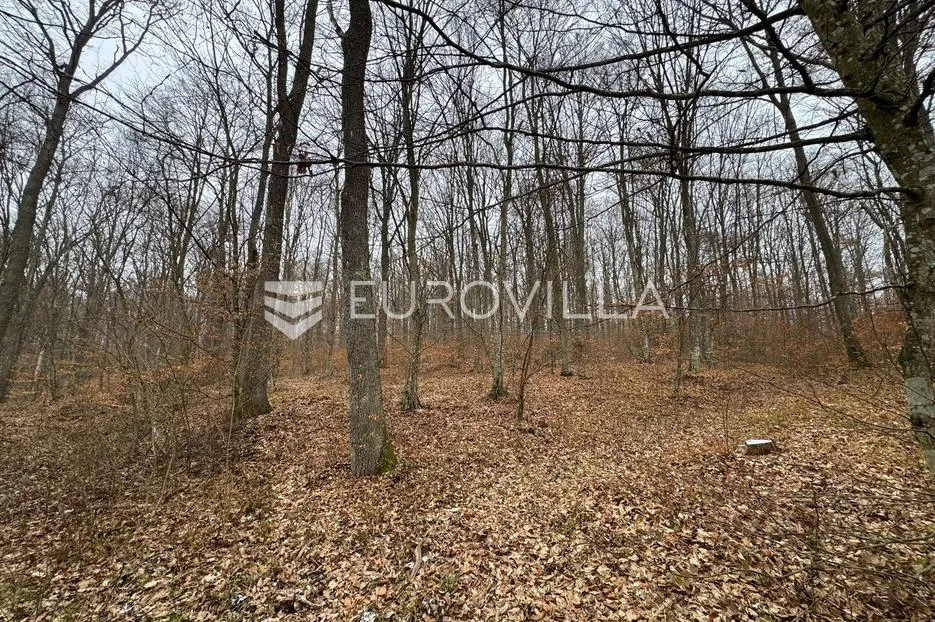levanjska varoš, šume i zemljišta, ukupno cca 60 ha - slika 9