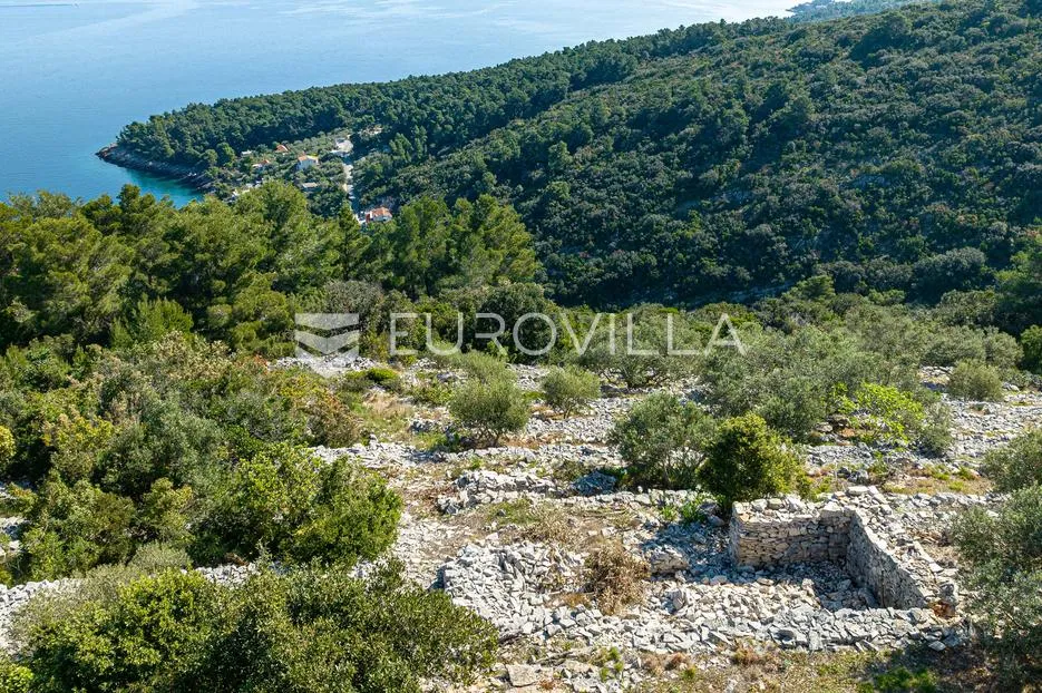 otok korčula, blato, poljoprivredno zemljište s dvije ruševne kamene kućice. - slika 9