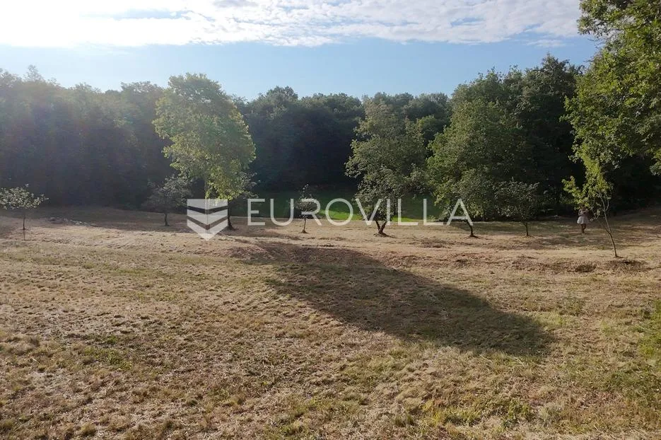 istra, tinjan, građevinsko zemljište nkp 3623 m2 - slika 27