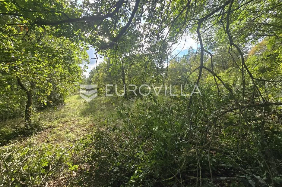 istra, krnica, poljoprivredno zemljište 3854 m² - slika 6