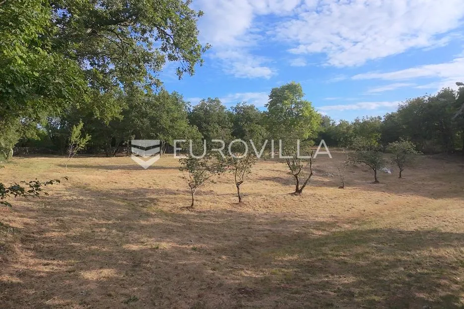 istra, tinjan, građevinsko zemljište nkp 3623 m2 - slika 5
