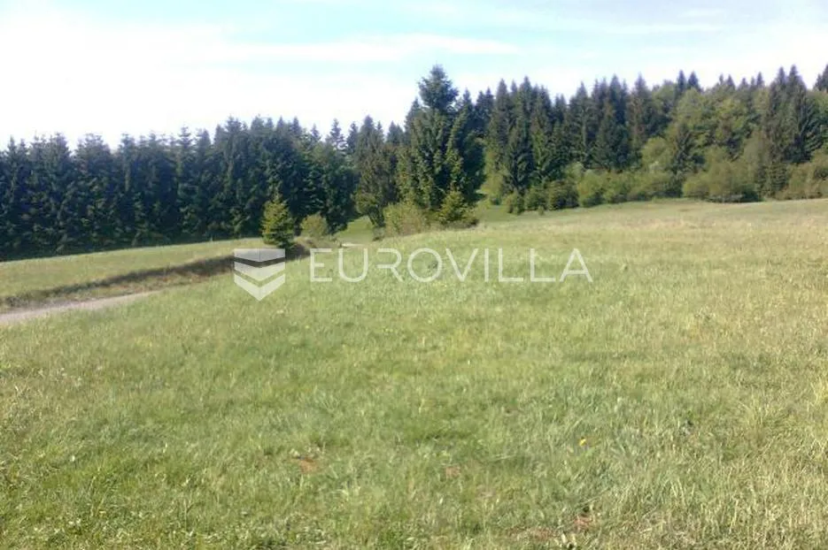 g.kotar, hlevci, predivan ravan teren od 4193 m² - slika 4