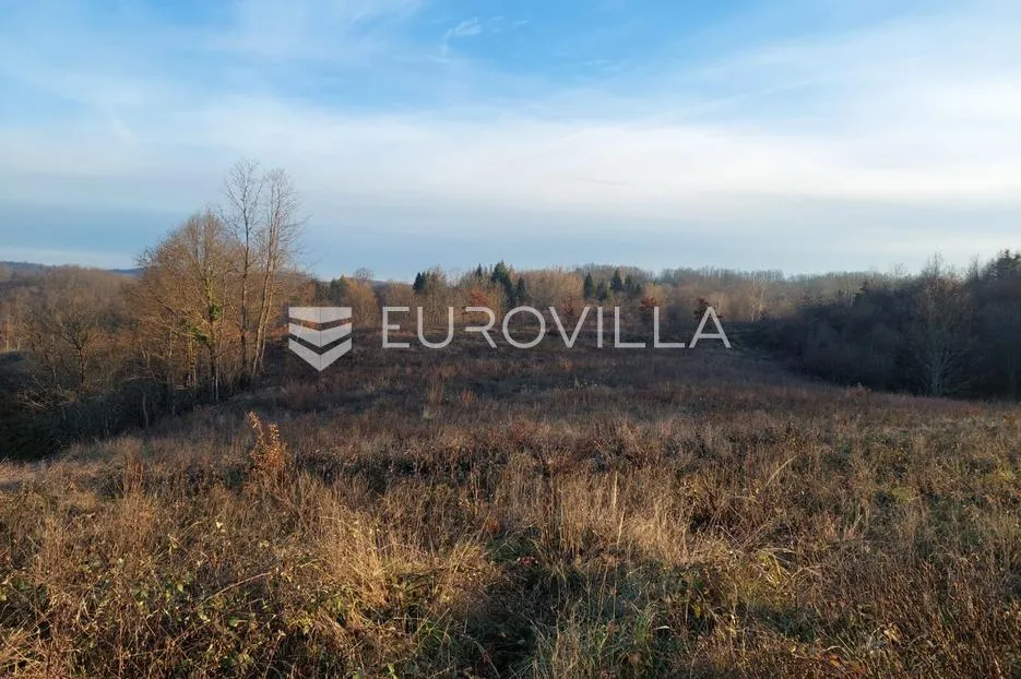 slunj, cvijanović brdo, zemljište 378428 m² s 2 objekta, višenamjensko - slika 9