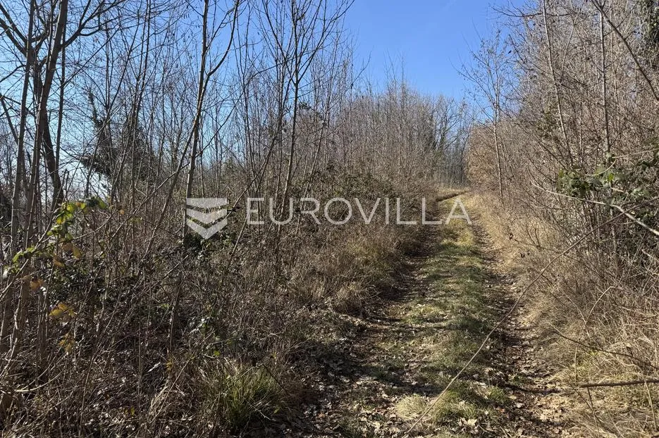 istra, karojba - građevinsko zemljište uz cestu 670 m2 - slika 1