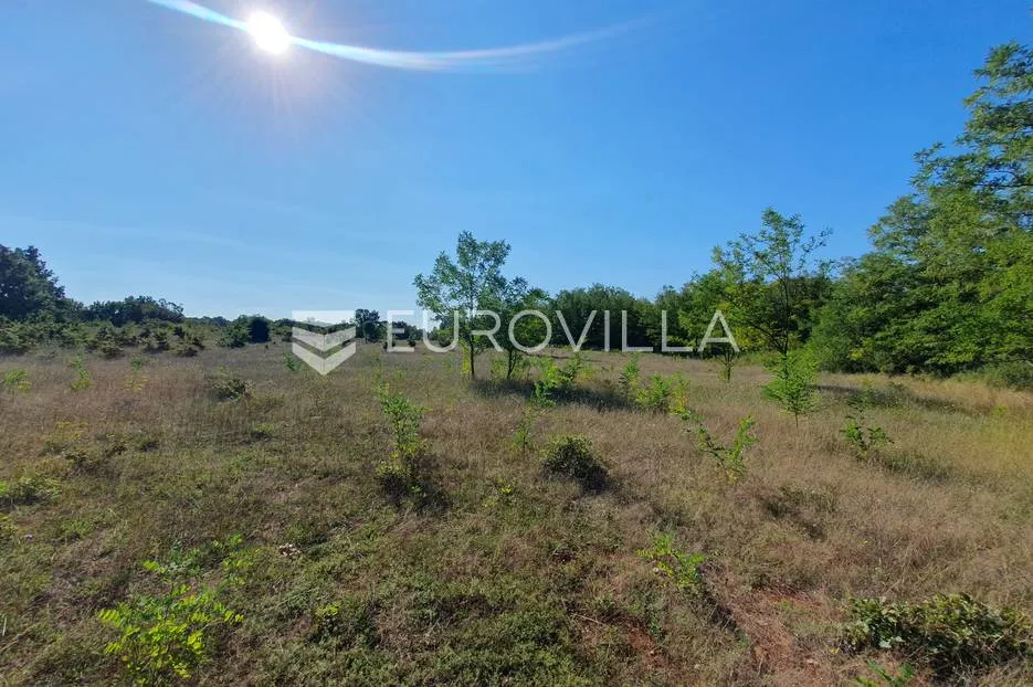 istra, baderna, poljoprivredno zemljište 12.120m2 - slika 14