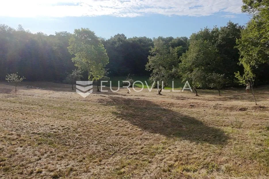 istra, tinjan, građevinsko zemljište nkp 3623 m2 - slika 26