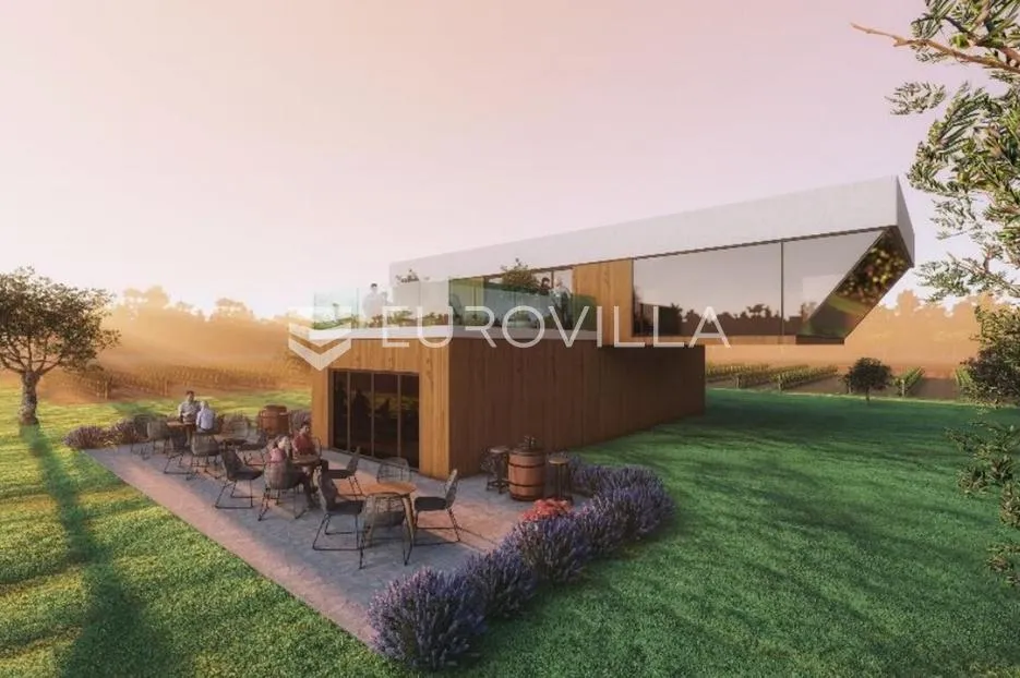 istra, predivno zemljište 26.700 m² pogodno za vinograd sa vinskim podrumom - slika 5