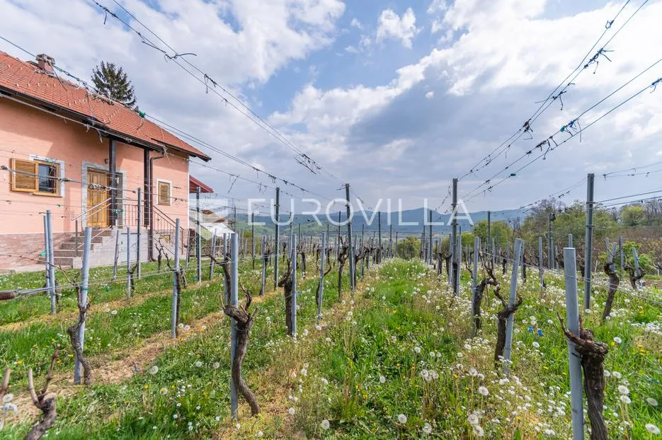 varaždinske toplice, martinkovec, mirna oaza s vikend kućom i velikim vinogradarskim potencijalom - slika 3