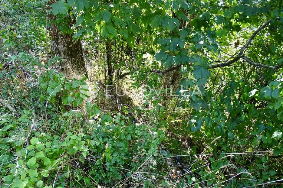 delnice, lučice, idealan građevinski teren za villu ili investiciju - slika 2