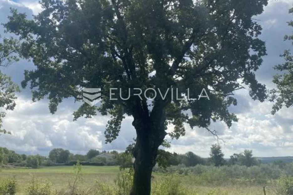 barban, manjadvorci, građevinsko zemljište s projektom i započetom gradnjom - slika 5
