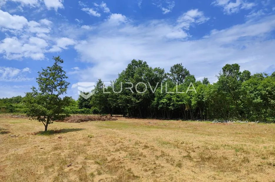 barban, rojnići, prekrasno pravokutno građevinsko zemljište 910 m² - slika 6