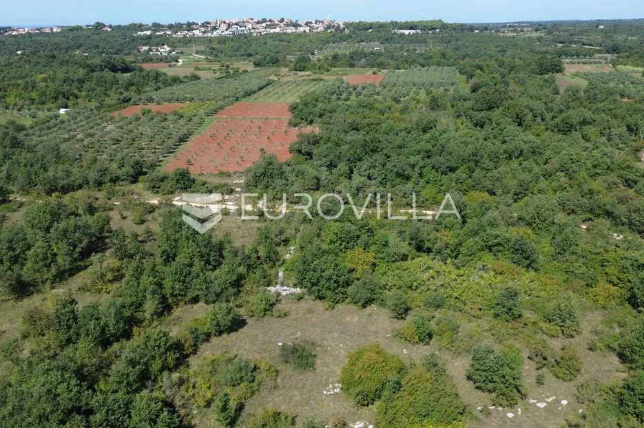 poreč, perci, prostrano zemljište na izoliranoj poziciji - slika 2