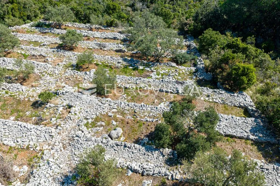 otok korčula, blato, poljoprivredno zemljište s dvije ruševne kamene kućice. - slika 14