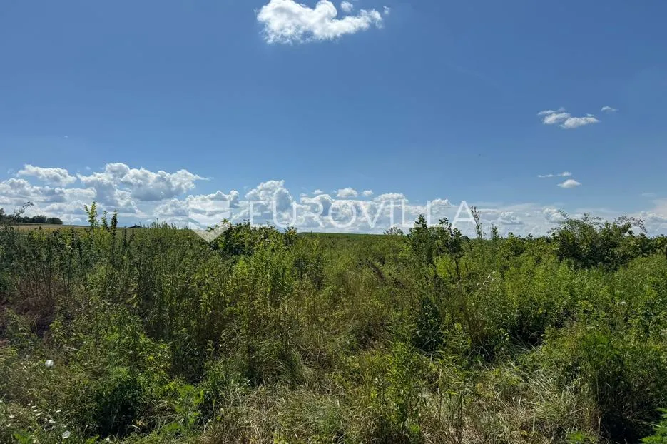 podgorač, poljoprivredno zemljište s nasadom lješnjaka 11622 m2 - slika 4