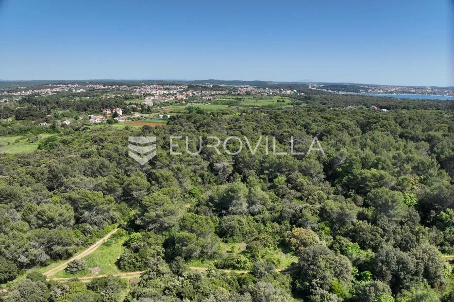 istra, štinjan, građevinsko zemljište 12600 m² - slika 10