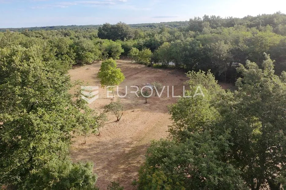 istra, tinjan, građevinsko zemljište nkp 3623 m2 - slika 11