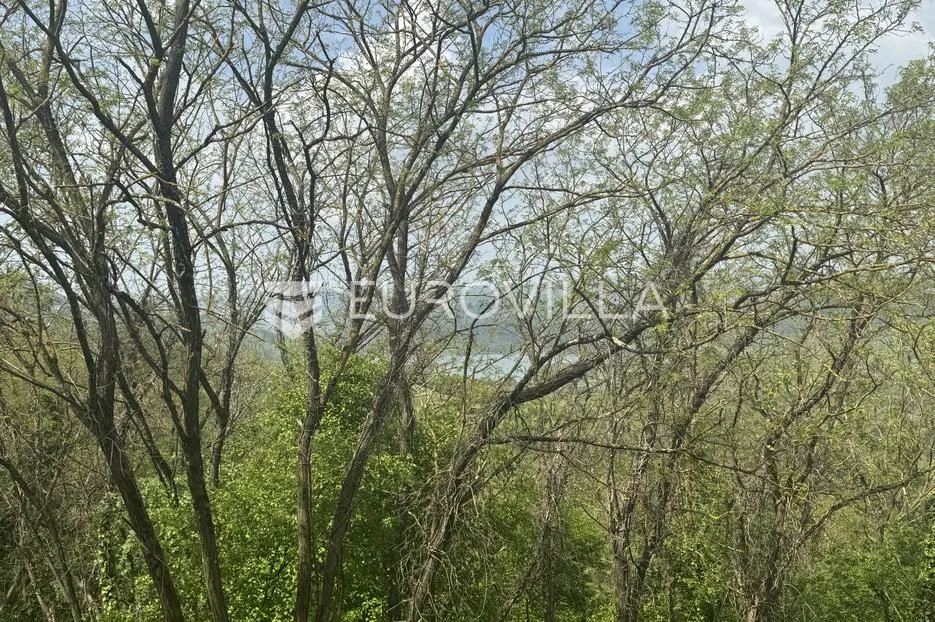 istra, gržani, kuća u nizu, štala s pogledom na butonigu, zemljište - slika 20