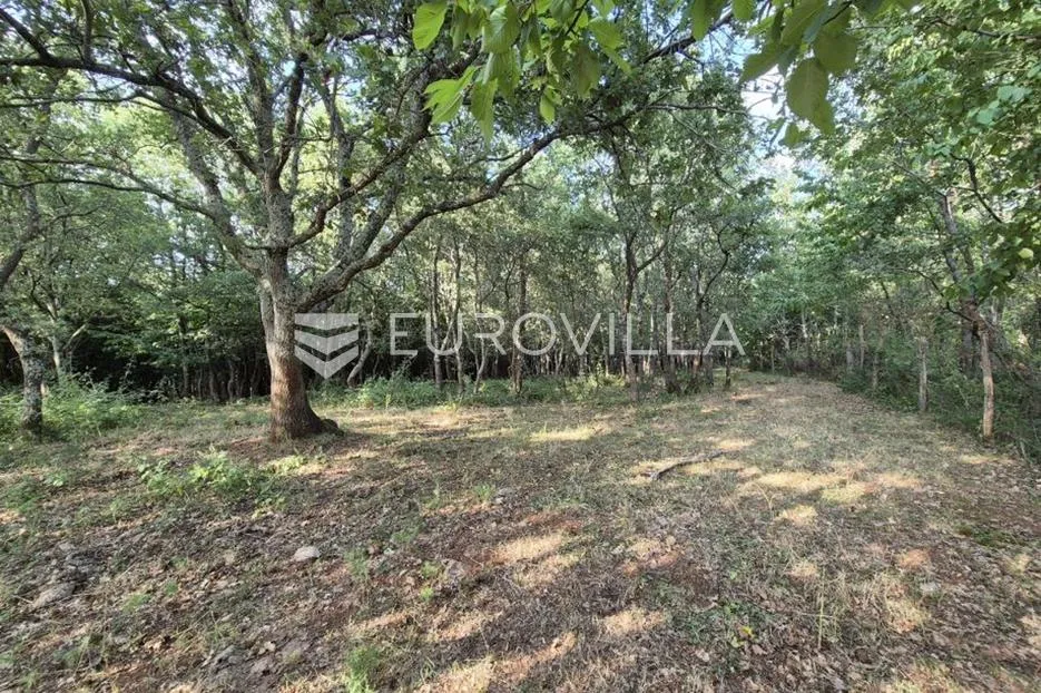 kaštelir, cerjani, poljoprivredno zemljište 24.118 m² s vlastitom šumom - slika 9