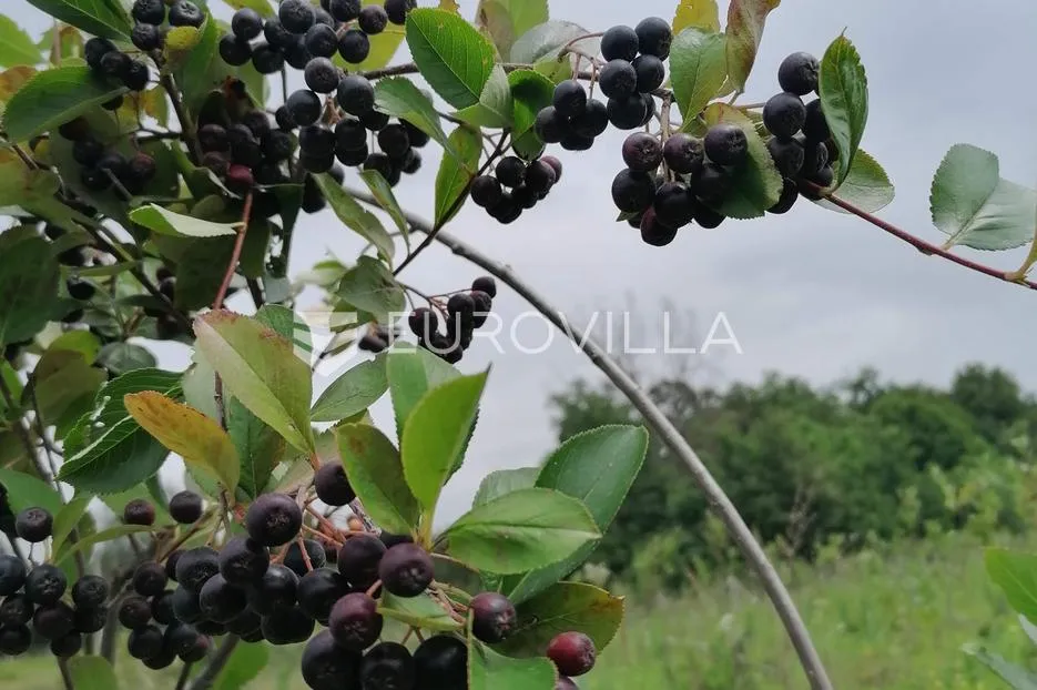 vrhovina, posjed površine 6 ha, odlična investicija - slika 9