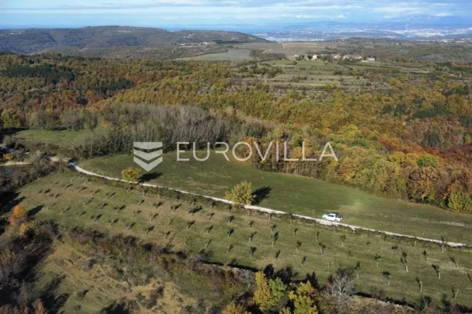 istra, momjan - zemljište 4137m2 od kojih je 1871m2 građevinsko - slika 7