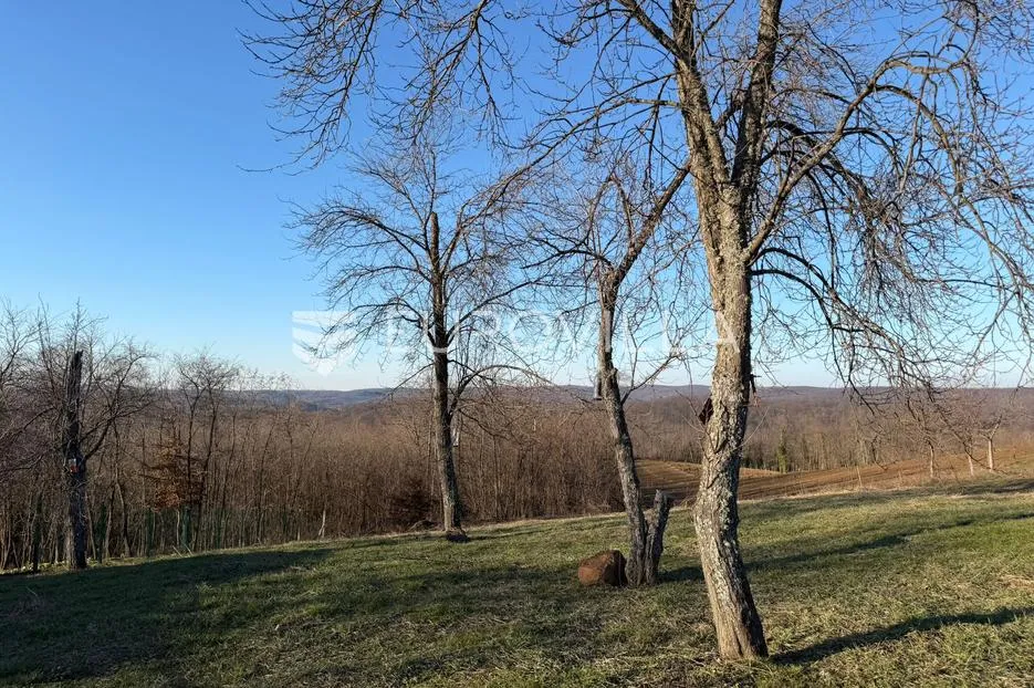 ovčara, građevinsko zemljište sa šumskim dijelom, 12857 m² - slika 3