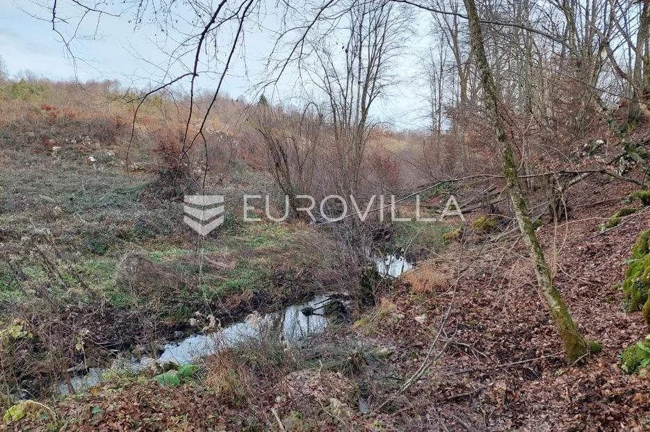 slunj, cvijanović brdo, zemljište 378428 m² s 2 objekta, višenamjensko - slika 4