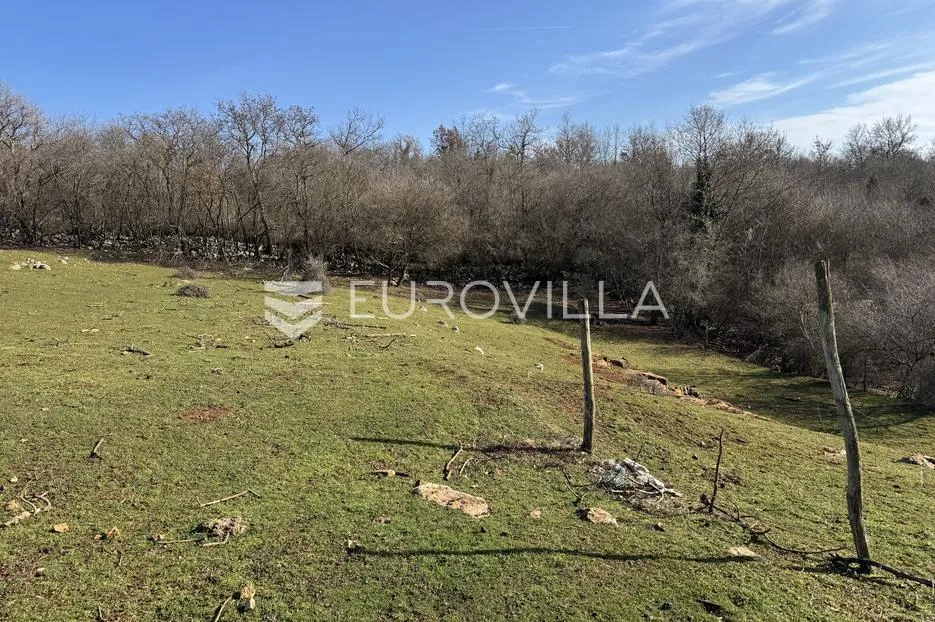 istra, poreč okolica - građevinsko zemljište 1033 m2 na rubu urbanizacije okruženo zelenilom - slika 10