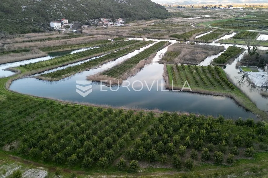 slivno, tuštevac, poljoprivredno zemljište 40000 m² - slika 6