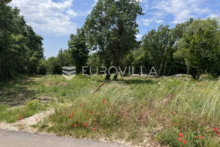 sv. lovreč, heraki, građevinsko zemljište 1350 m2, blizina limskog kanala - slika 3