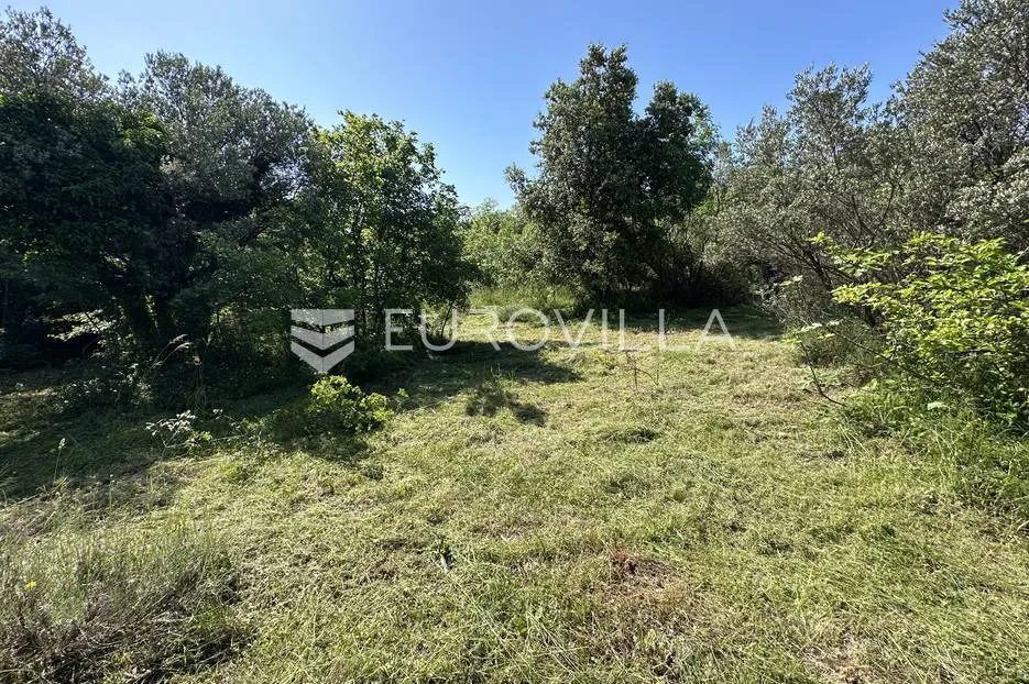 istra, šegotići, poljoprivredno zemljište, 3057m2 - slika 2