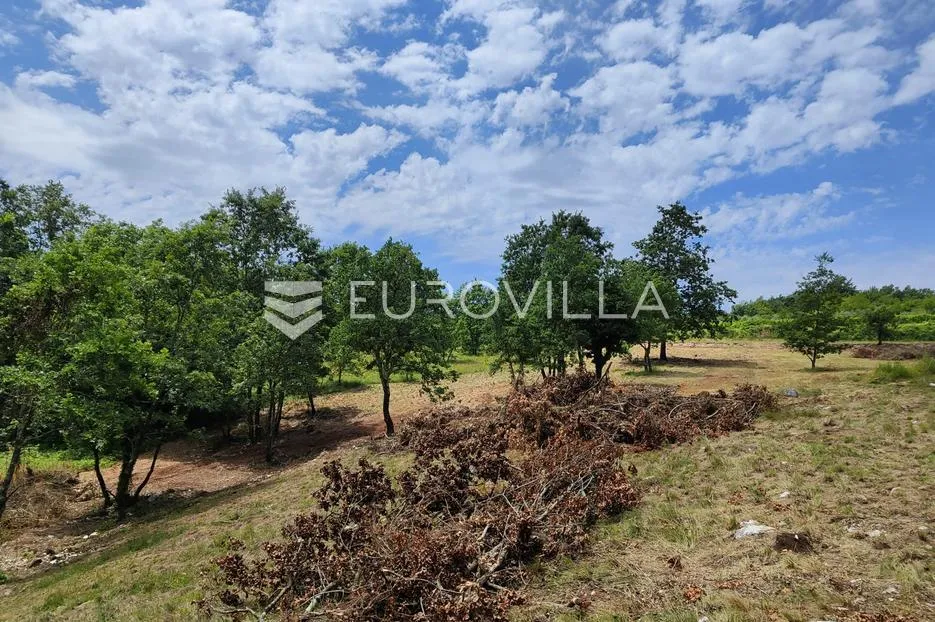 barban, rojnići, prekrasno pravokutno građevinsko zemljište 910 m² - slika 16