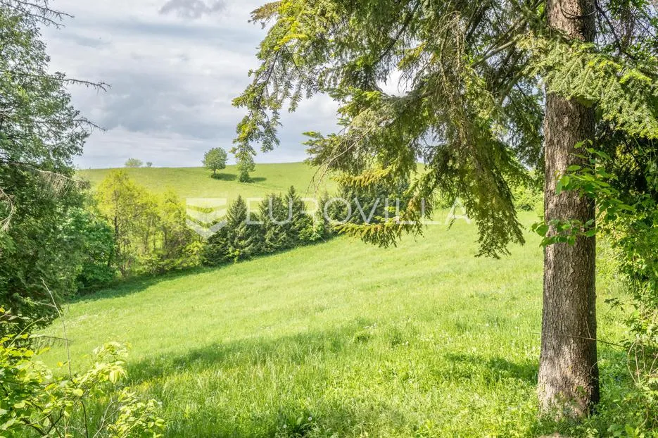 karlovac, draganić, prostrano zemljište sa starom kućom površine 27162 m² - slika 9