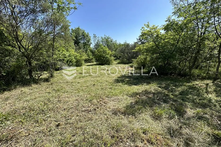 istra, šegotići, poljoprivredno zemljište, 3057m2 - slika 5