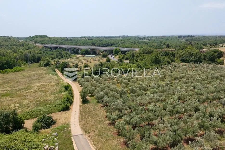 istra, brtonigla, građevinsko zemljište 2195 m2 - slika 4