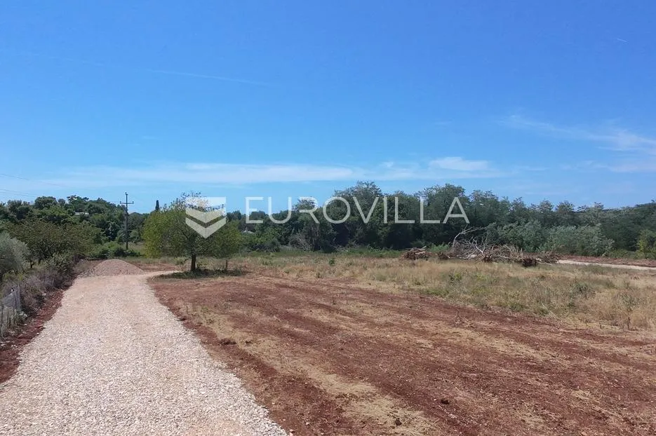 Istra, Brtonigla, Građevinsko zemljište 656 m², idealno za luksuznu vilu s bazenom
