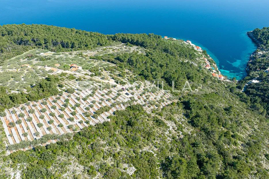 otok korčula, blato, poljoprivredno zemljište s dvije ruševne kamene kućice. - slika 4