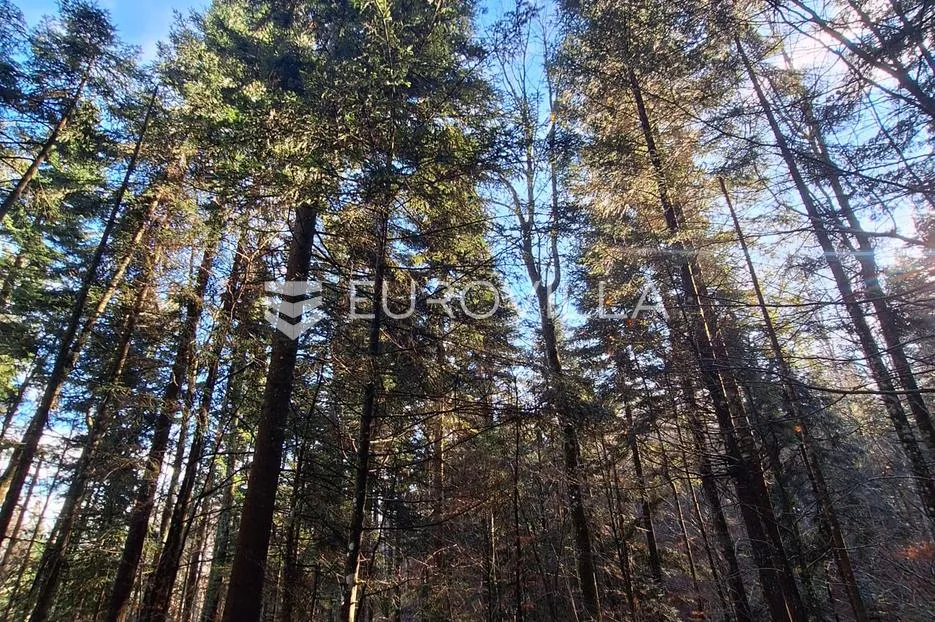 Vrbovsko, Lukovdol, poljoprivredno zemljište 31000 m², mogućnost gradnje - Lukovdol, Vrbovsko