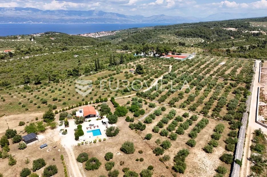 sutivan, jedinstveno imanje, kuća s bazenom i prostrani maslinik - slika 3