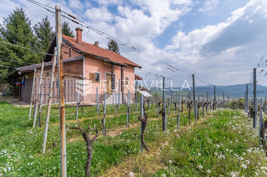 varaždinske toplice, martinkovec, mirna oaza s vikend kućom i velikim vinogradarskim potencijalom - slika 2