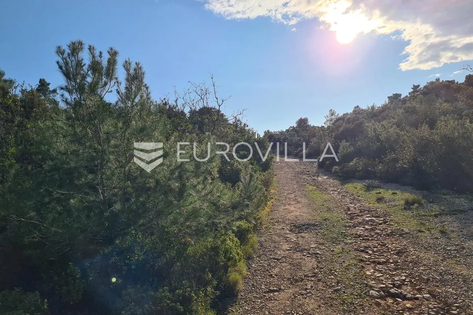 otok korčula, blato, predio ančinovo, veliko poljoprivredno zemljište - slika 2