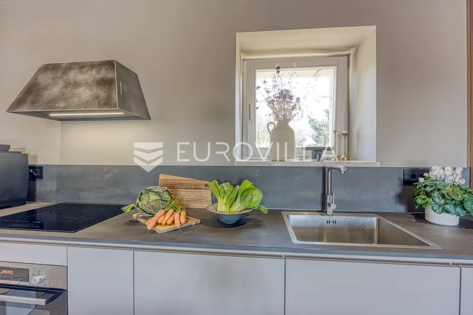 istra, labin, šumber, unikatna samostojeća villa na velikoj okućnici s pogledom - slika 24